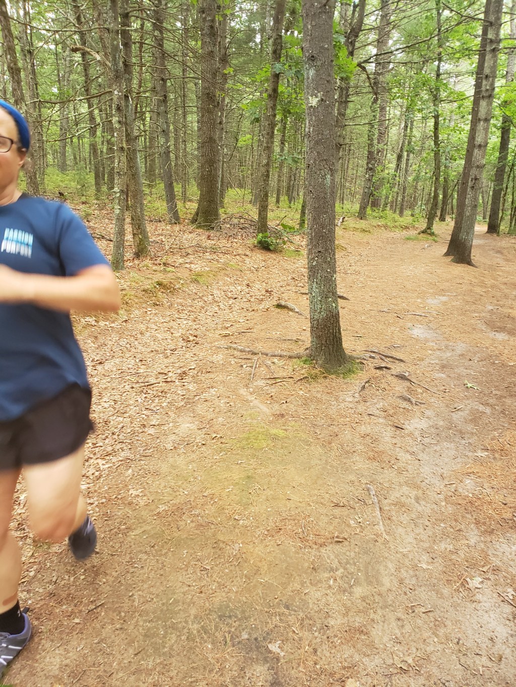 How a Former Coach-Potato Found Joy in Movement (If I Can, You Can Too!)