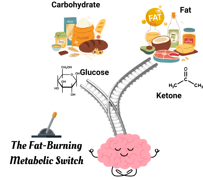 Unlock Your Body’s Natural Fat-Burning Power: The Great State of&nbsp;Ketosis